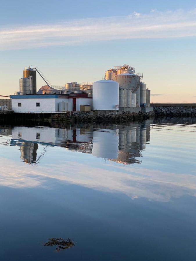 Nordlandshuset "Lottebakken", Ballstad In Lofoten Exterior foto